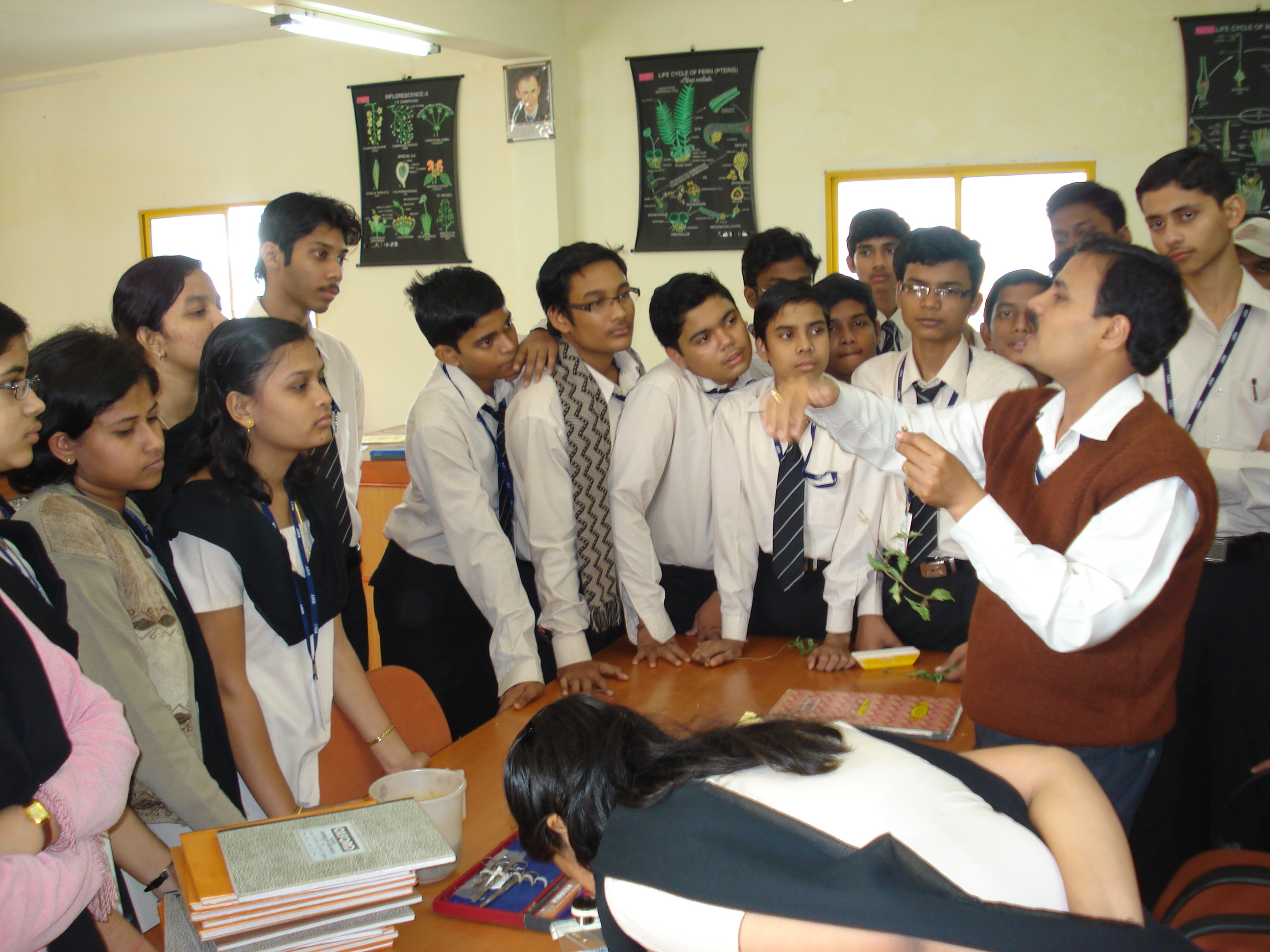 Classroom Activity